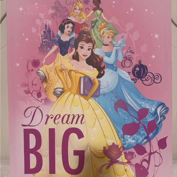 3 Piece Princess Set! Blanket / Throw, Canvas Wall Art & Princess Night Light - Picture 4 of 5